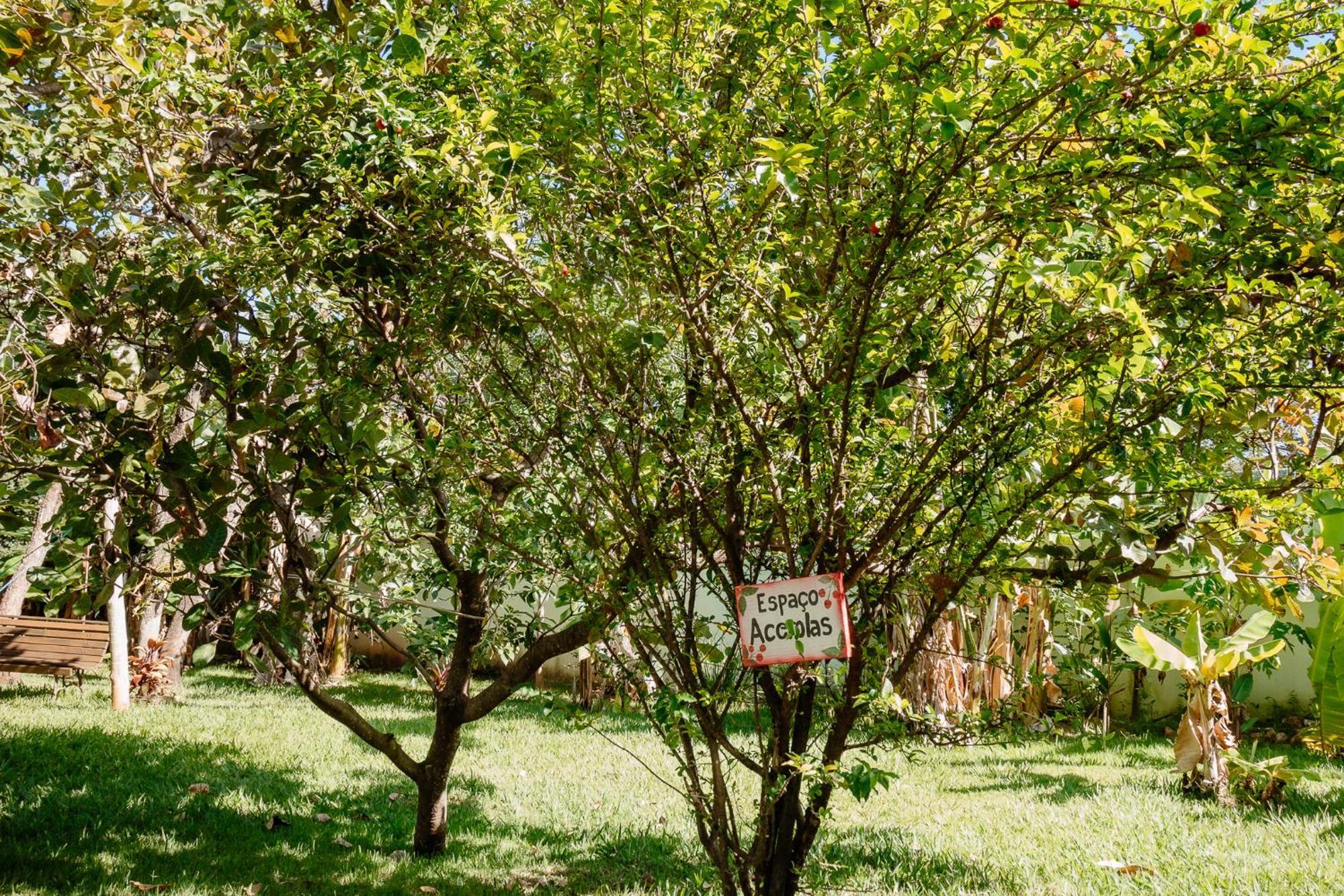 Pousada Adega Cipo Serra do Cipo National Park Exterior photo